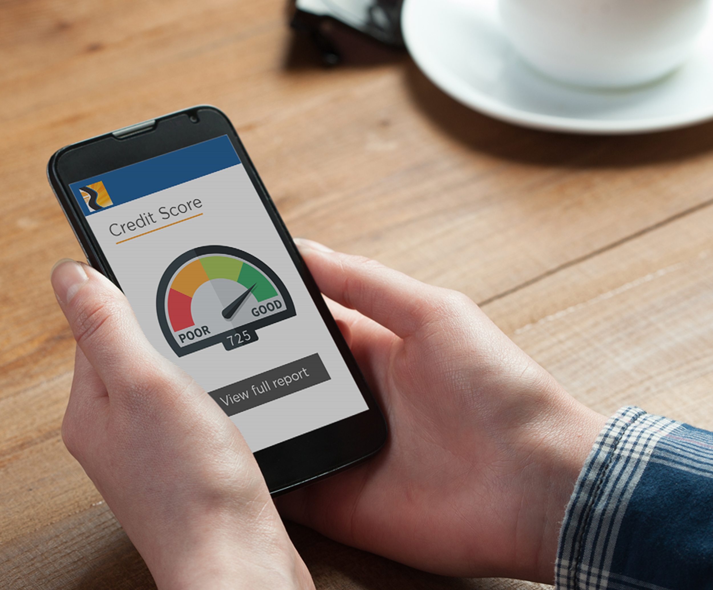 Access your credit reports and score using the Sunbelt Central App at Central Sunbelt FCU, MyLife Checking, Advantage Checking, 